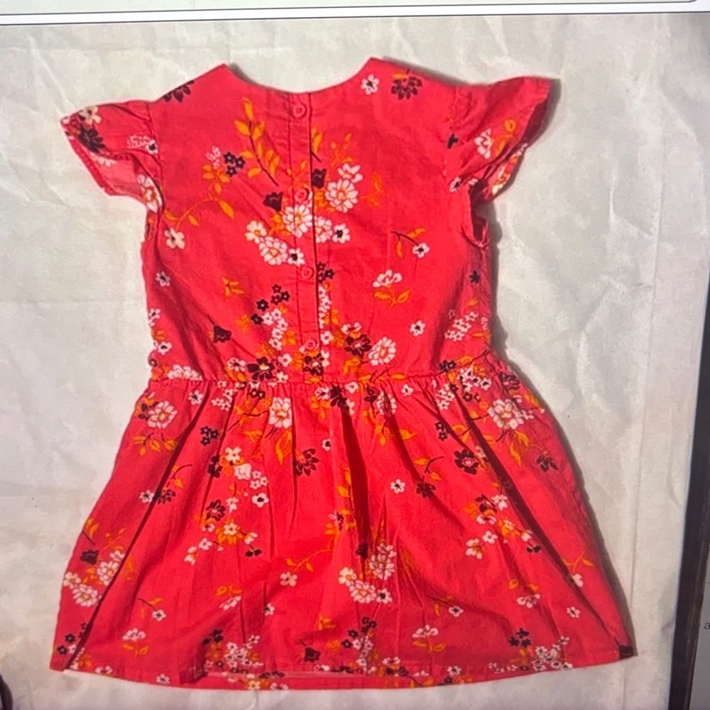 Baby GAP Floral Pink Dress 5 RetroNature Princesscore Cottagecore Boho Fairycore - Picture 3 of 7